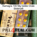 Kamagra 100 Mg Gelée Orale Sildénafil new06